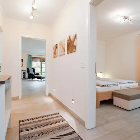 Apartment Birkenhain 5 *